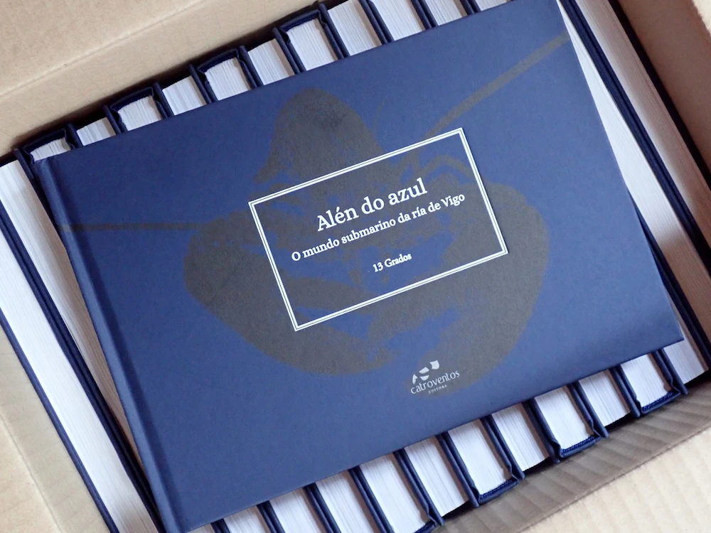 Tenda 13Grados - Libro Alén do Azul