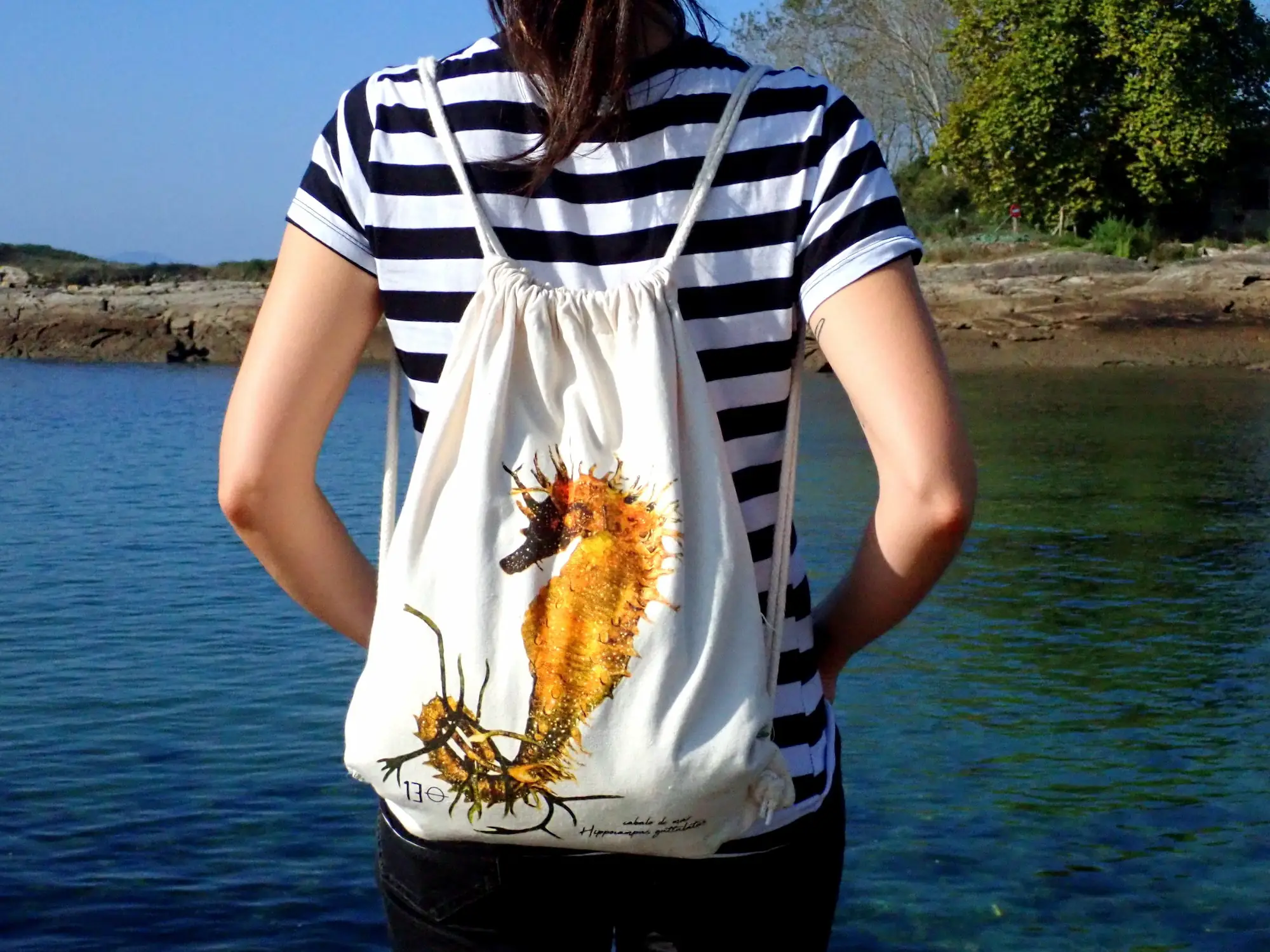 Tenda 13GRADOS - Mochila